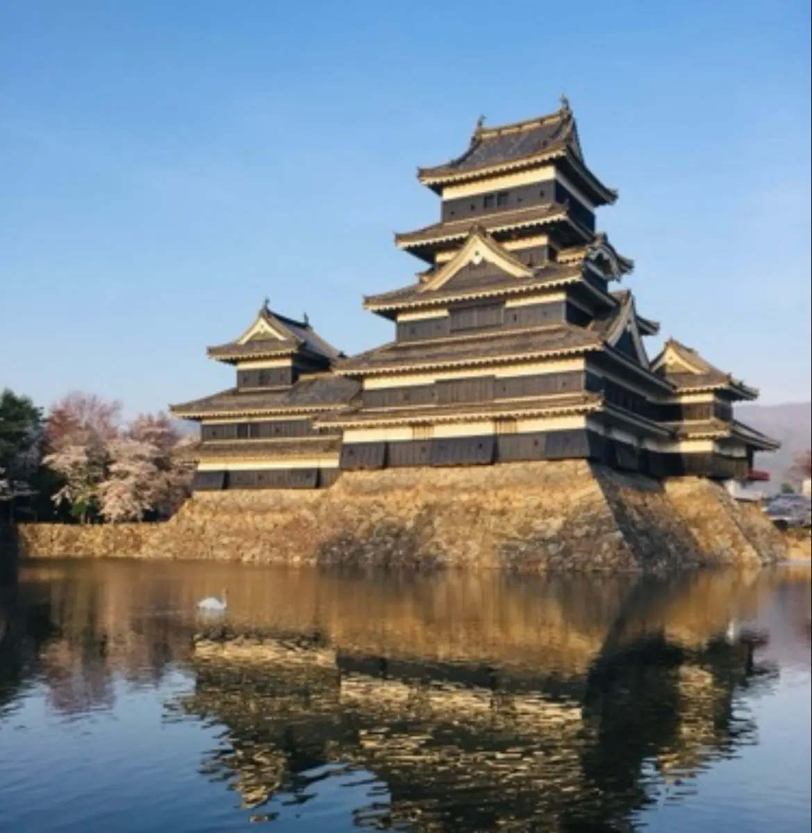 地域に根差した企業